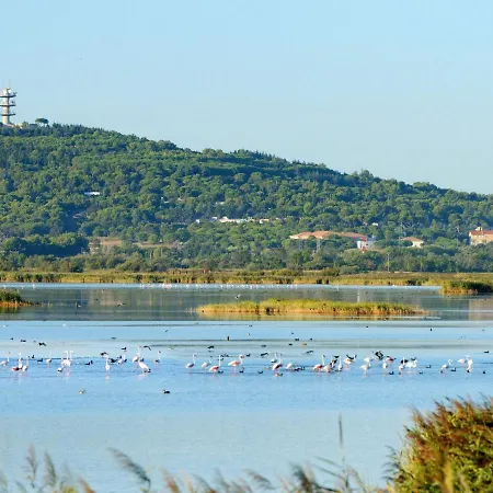 Le Sunset-cap Sud-12 By Interhome דירה אגדה